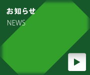 m点